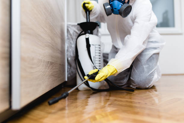 Best Best Pest Control Companies  in Cascade, ID