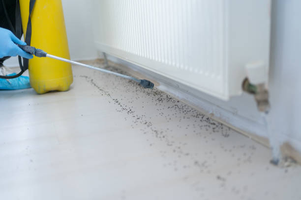 Best Pest Prevention Services  in Cascade, ID